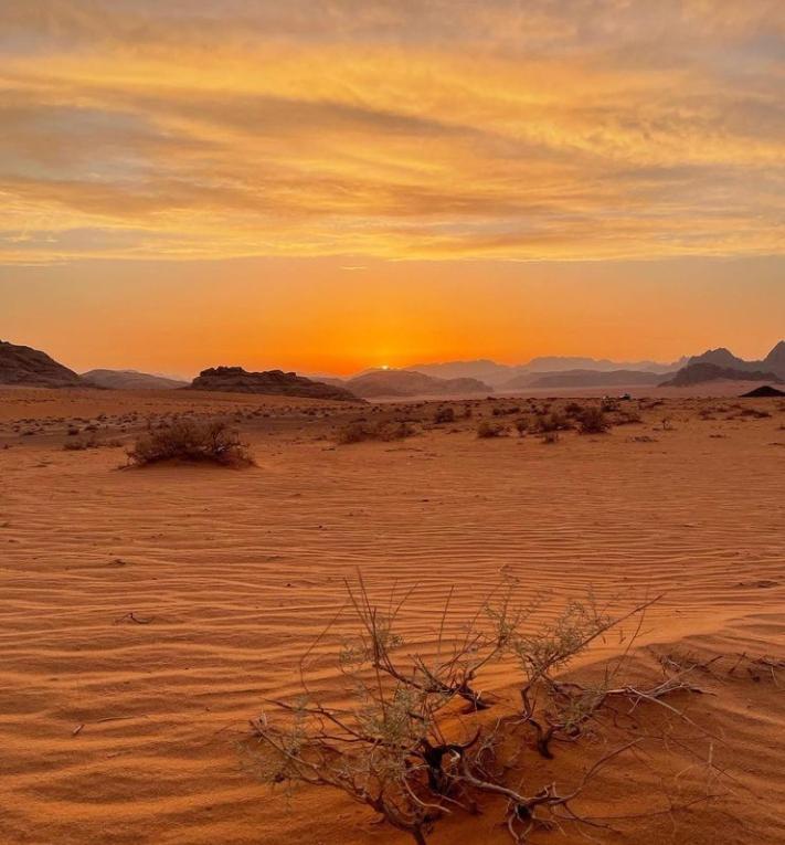 Wadi Rum Nature 외부 사진